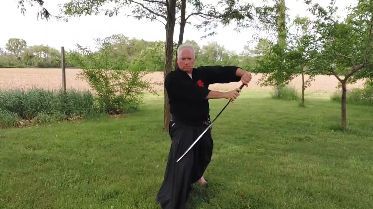 Skyjiro Katana Taka Chigai (crossed feathers)