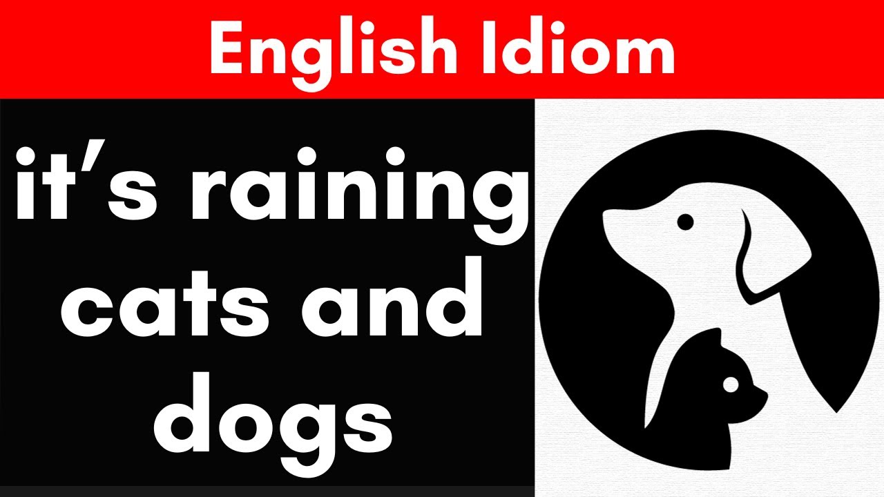 It's raining cats and dogs - MEANING, EXAMPLES, and ORIGINS