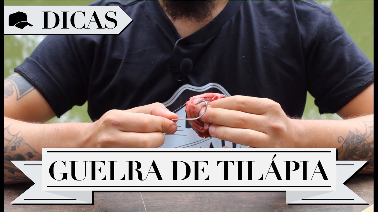 DICAS #2 - GUELRA DE TILÁPIA
