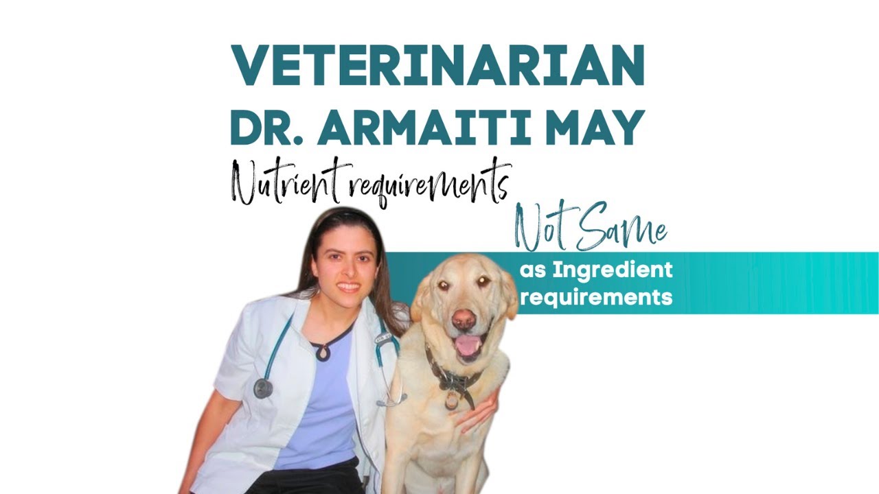 Veterinarian Dr. Armaiti May on vegan cat food - Nutrient requirements &ne; as Ingredient requirements