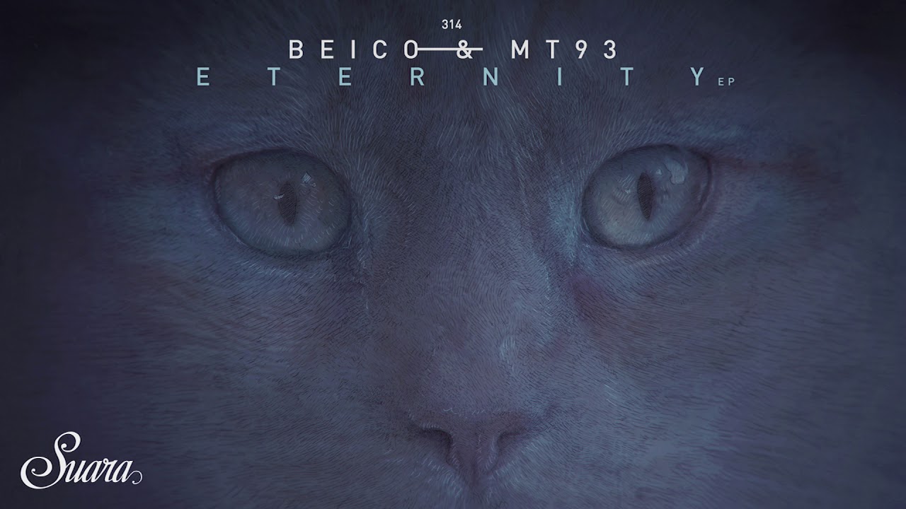 Beico & MT 93 - Connection Series (Original Mix) [Suara]