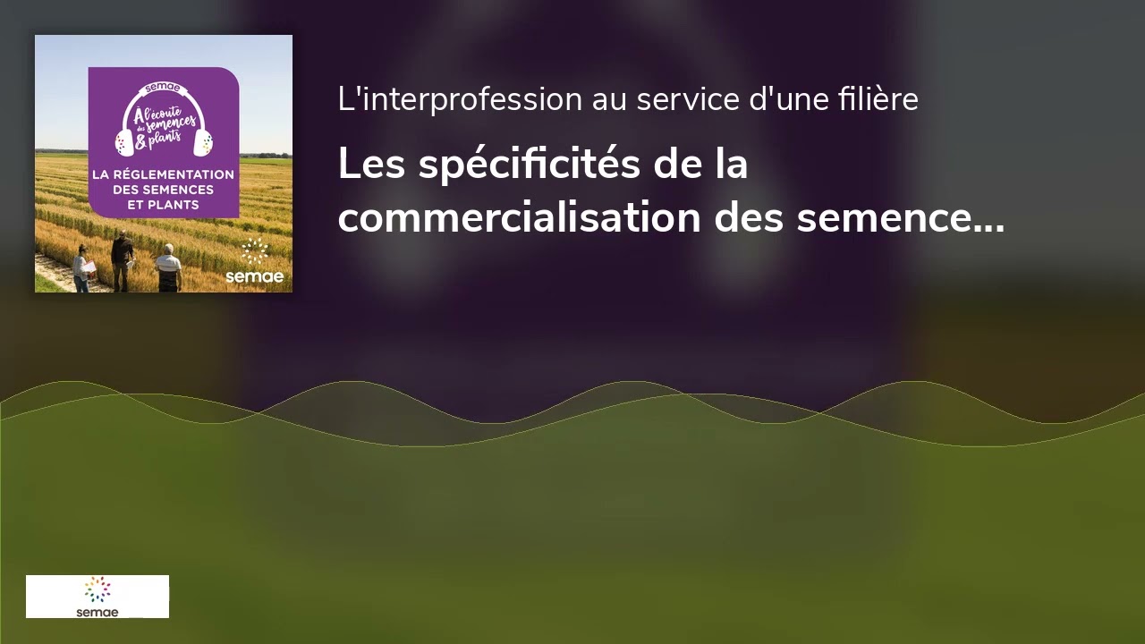 Les spécificités de la commercialisation des semences et plants en France, en Europe et dans le m...
