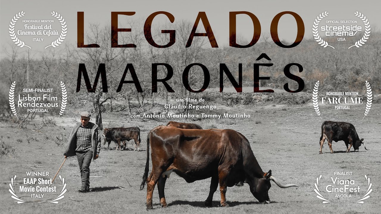 Curta Documental 