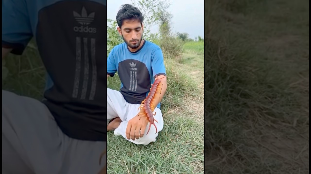 &lrm;Allah Tala ke madad 😭 #ytshorts​ #news​ #prayer​ #today​ #trending​ #emotional​ #youtubeshorts