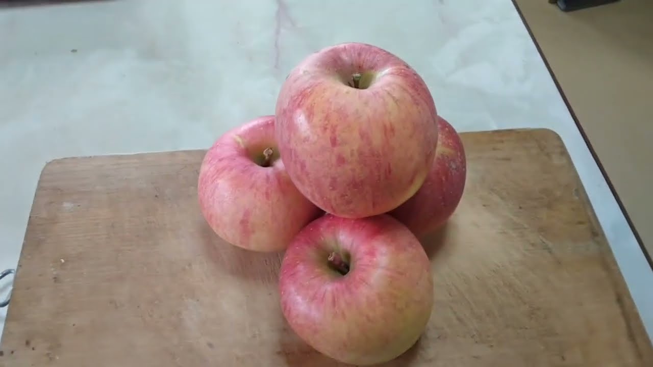 【無限リンゴ】種から育てるふじりんご！