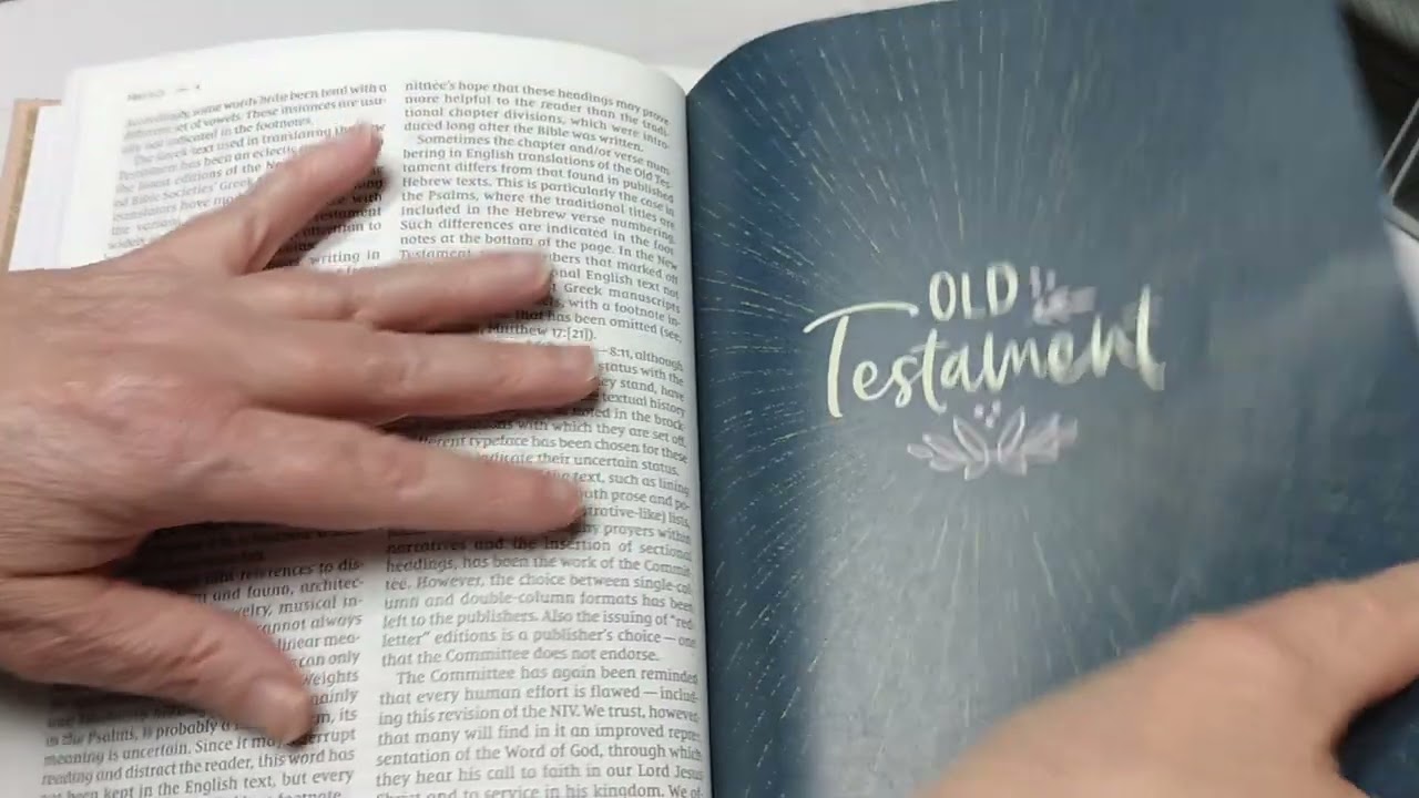 NIV Radiant Virtues Bible Review #zondervan