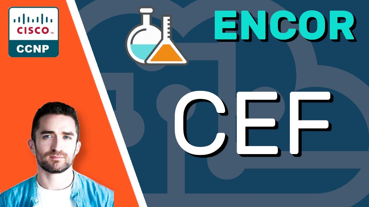CCNP ENCOR // CEF (LAB) // ENCOR 350-401 Полный курс