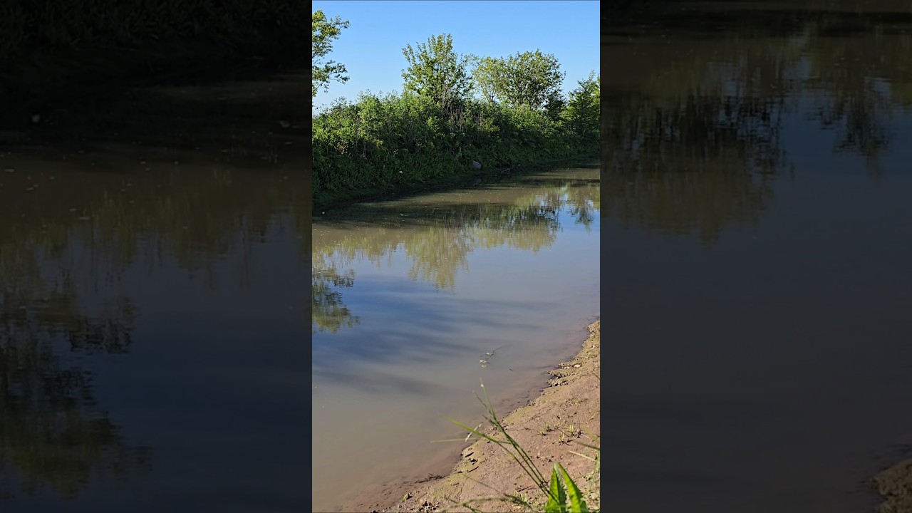 Arroyo "San Jacinto", Olavarria