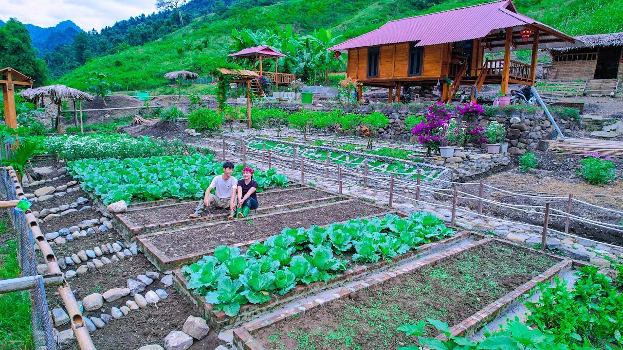 LIVING SUSTAINABLE Off The Grid for 4 Years! Gardening process, Harvesting, selling, Cooking, Decor