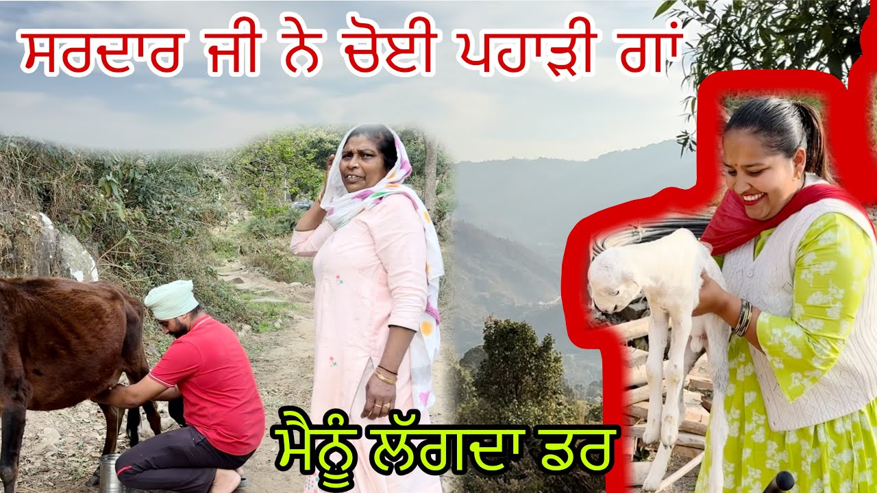 ਮੰਮੀ ਨੂੰ ਪਿੱਛੇ ਕਰਕੇ ਸਰਦਾਰ ਜੀ ਹੋਏ ਆਪ ਮੂੰਹਰੇ @jasminmahalvlogs7754 