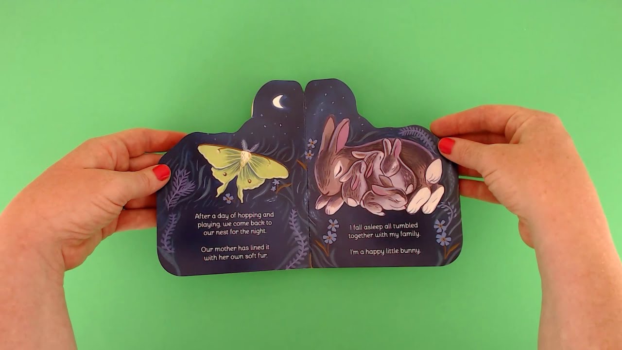 A Little Bunny Children's Book Read Aloud