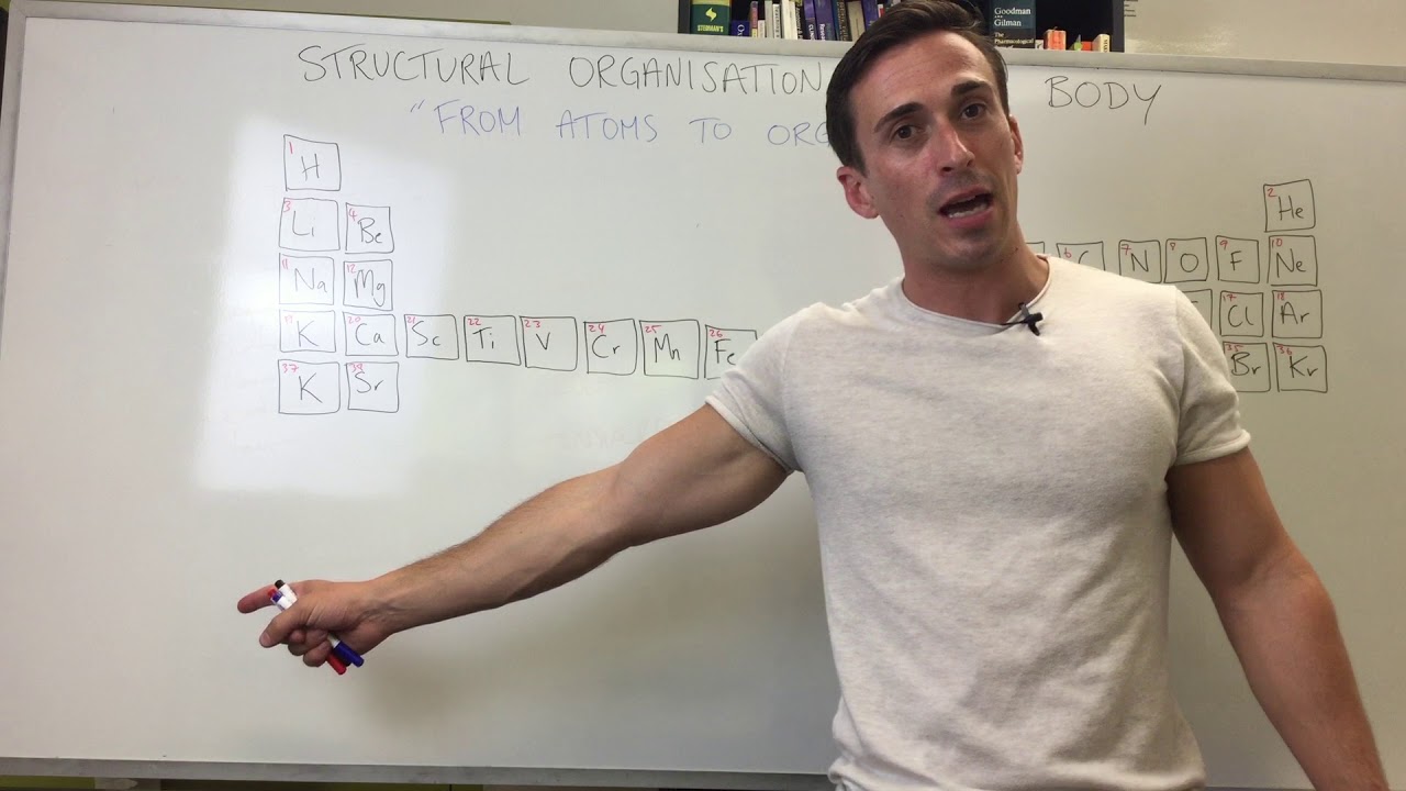 Structural organisation of the body (Atoms to Organisms)