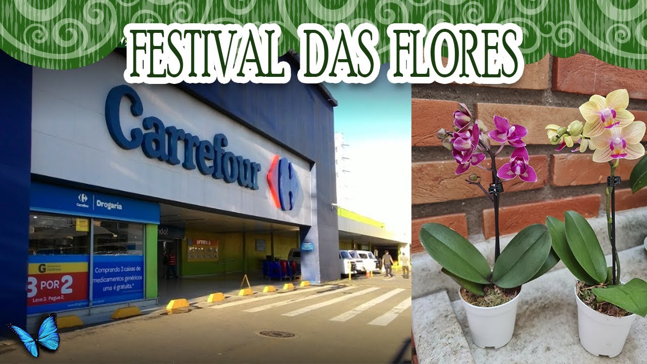 PLANTAS CARREFOUR | FESTIVAL DAS FLORES