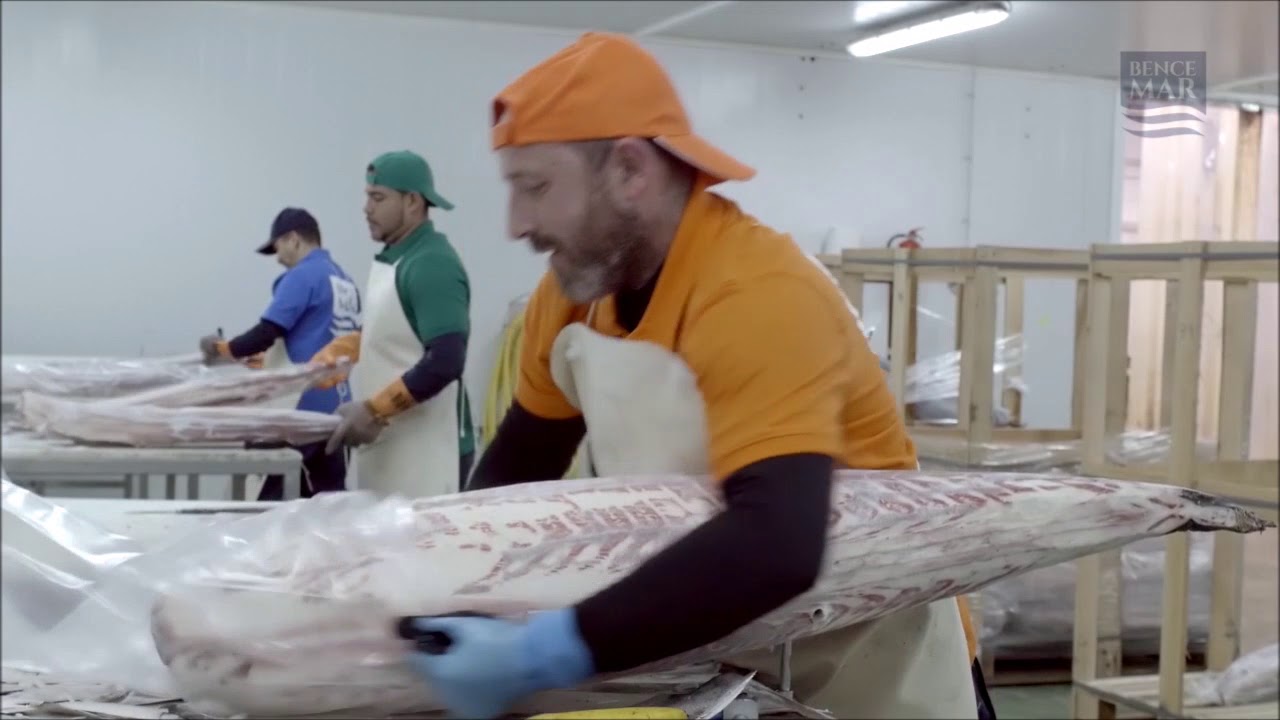 Bencemar - Pescado congelado