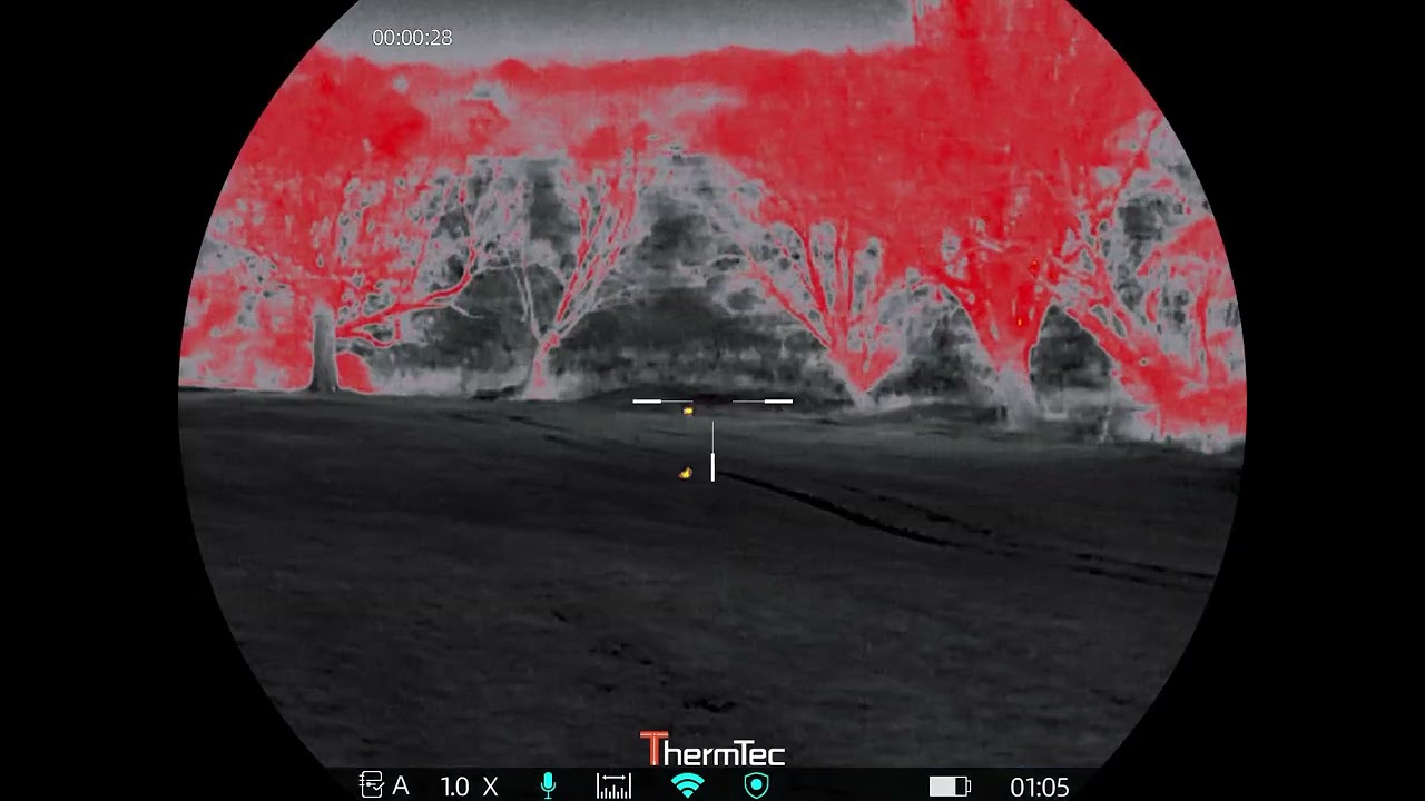 Fox 🦊 350m with the Thermtec ibex 335L 