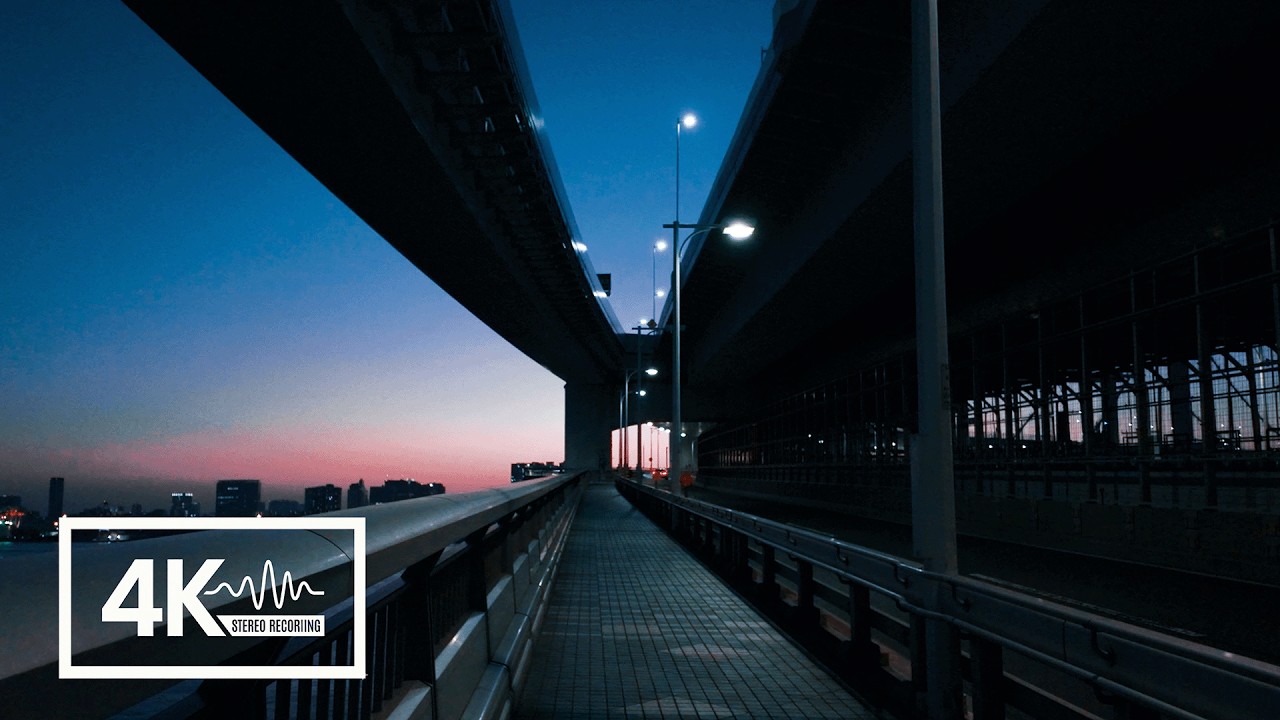 Tokyo's Most Iconic Bridge 4K WALK | Winter Sunset, Tokyo Bay Scenery [1 Hour / ASMR]