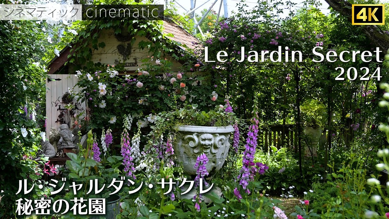 2024　ルジャルダンサクレ/秘密の花園　今年も凄かった！　権田邸　シネマティック　/　Le Jardin Secret  ROSE Gonda Residence　cinematic 4K