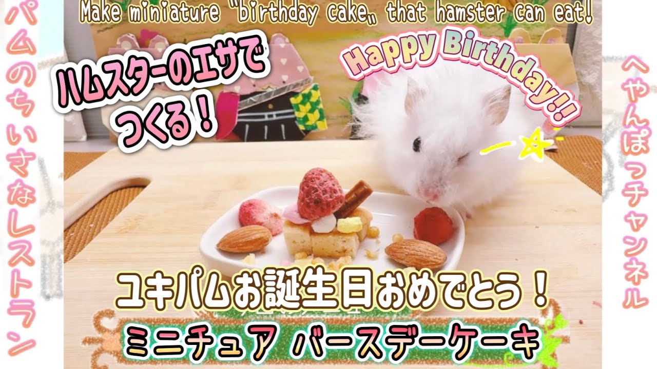 ハムスターにミニチュアの「バースデーケーキ」を作ってお祝いしてあげると可愛すぎた！🎂／ hamstar miniature food a birthday cake パムのちいさなレストラン