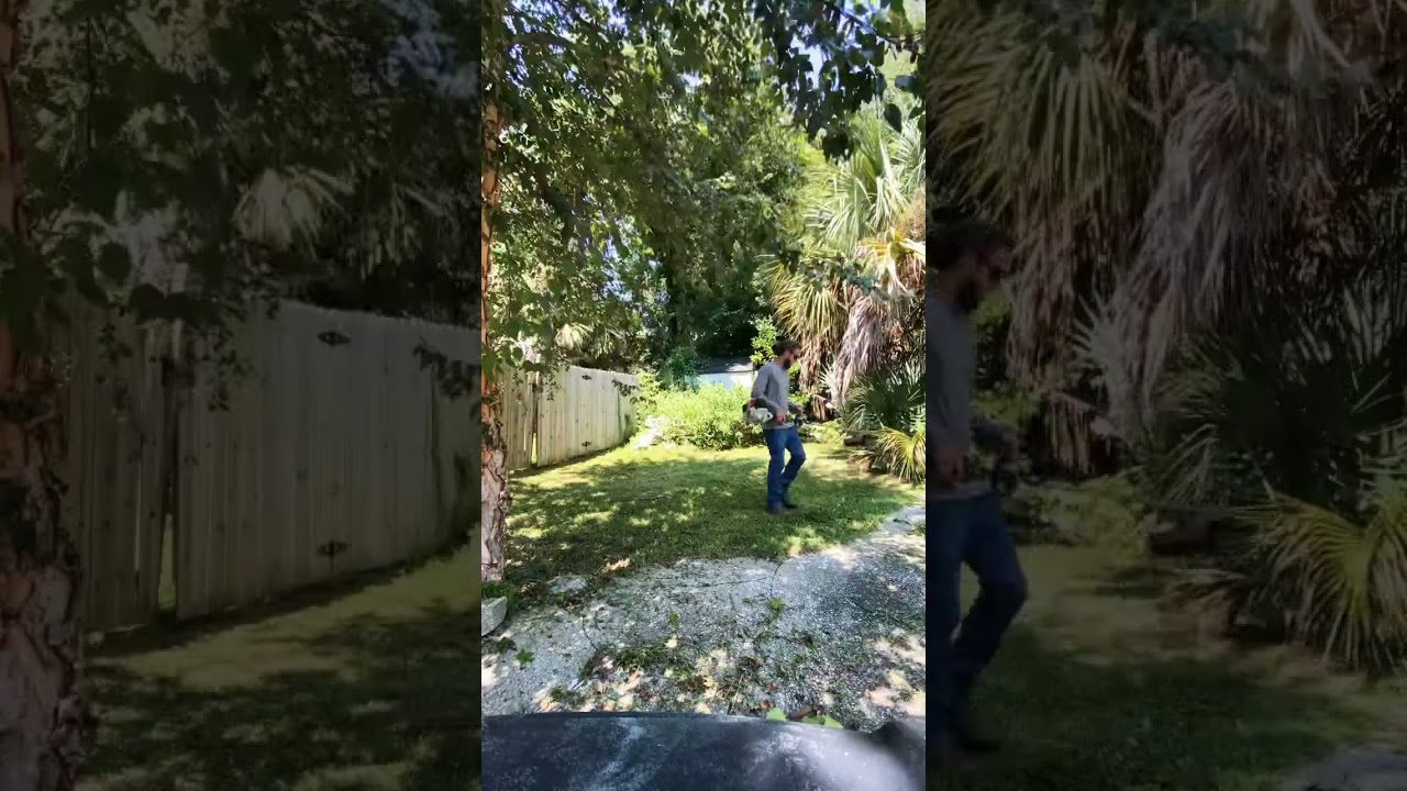 Major backyard cleanup #lawn #garden #lawncare #yard #yardwork #mowing #satisfying #timelapse