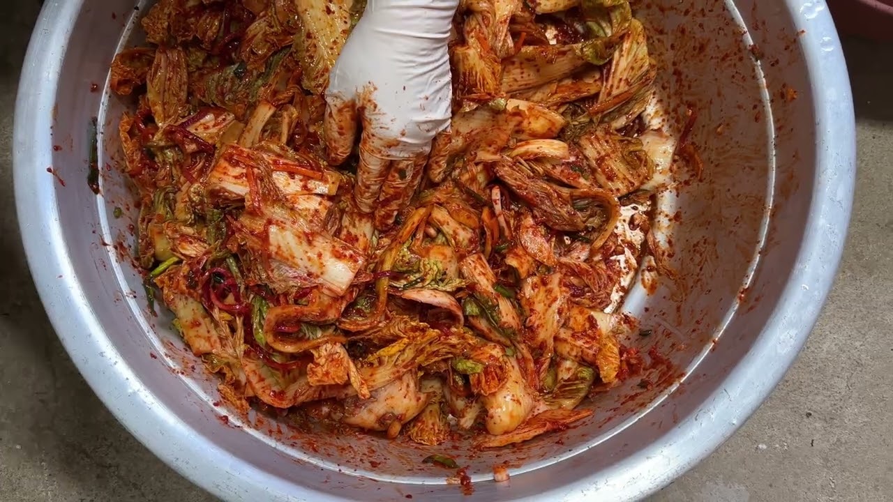 겨울 밭에서 바로 캐온 배추로 겉저리 만들기