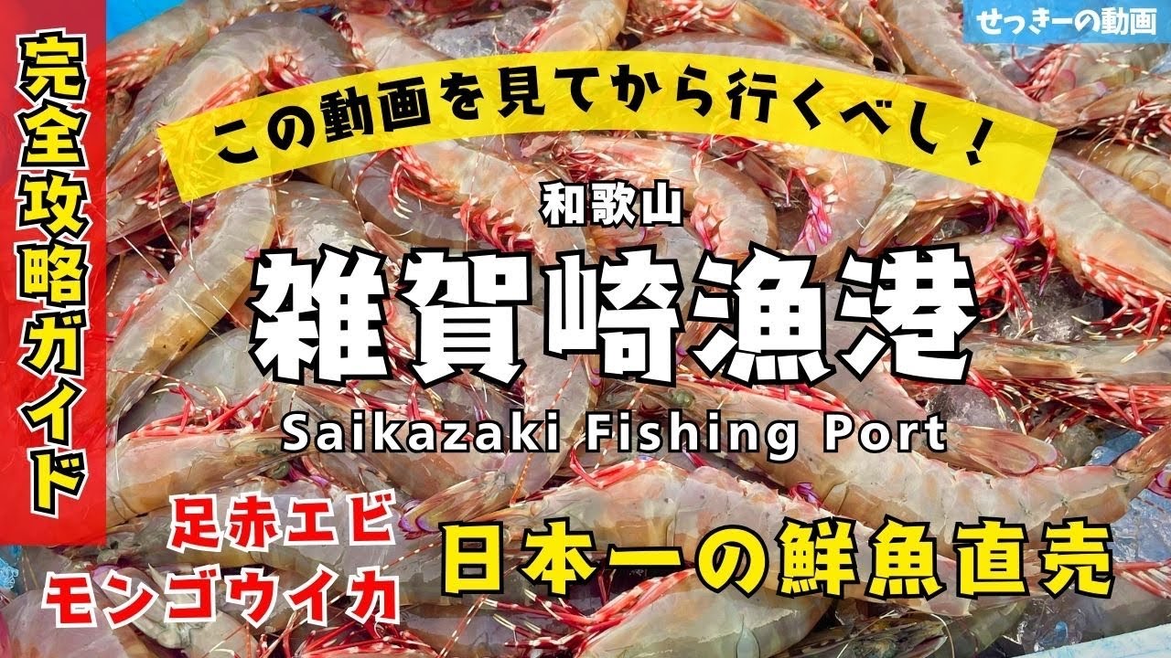【2026年保存版‼︎】一匹100円以下⁉️日本一の激安‼️鮮魚直売『雑賀崎漁港🐟』で足赤えびを買ってすぐに食べてみた🍴🦐【和歌山 足赤海老 人気釣りスポット】