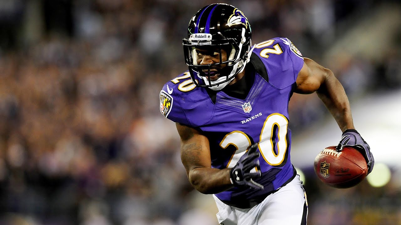 Ed Reed All-22 Highlights (2004)