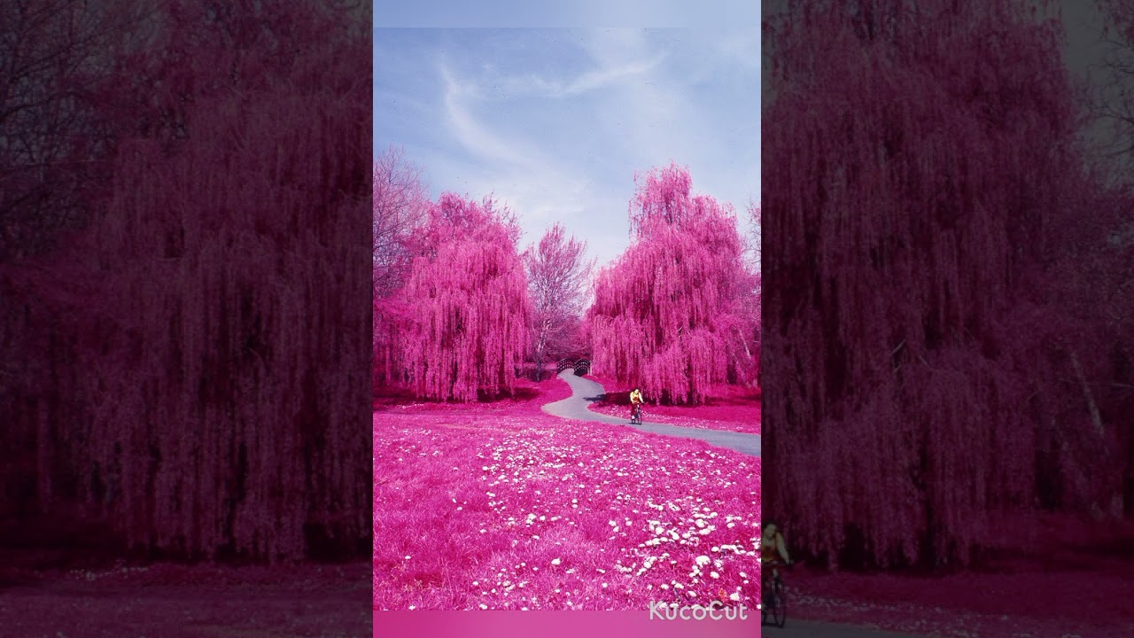 Beautiful landscape