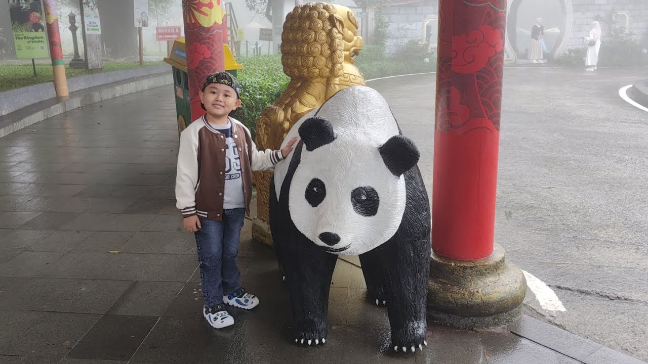 Nonton Show di Taman Safari Bogor // 20 Feb 2026