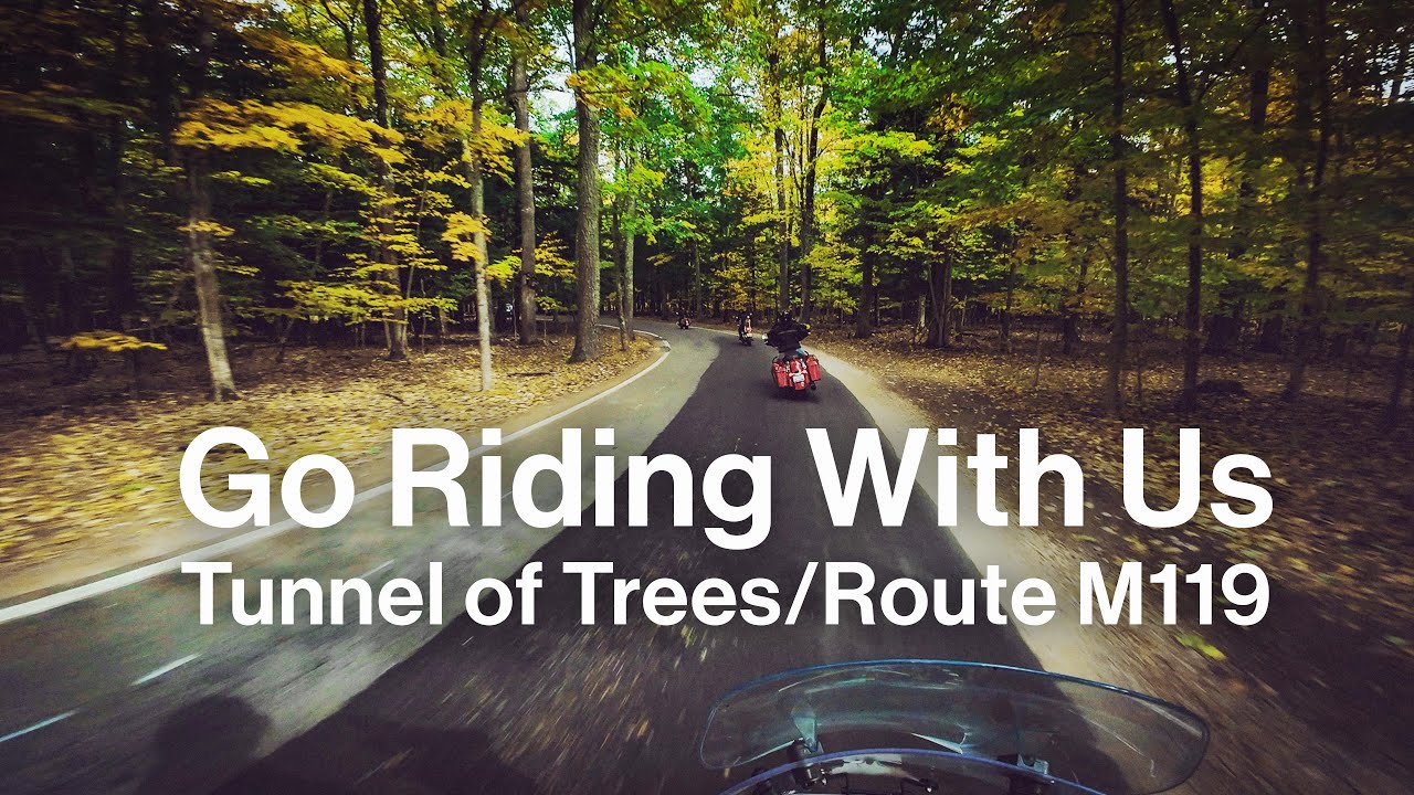 Group Ride—Route M119/Tunnel of Trees