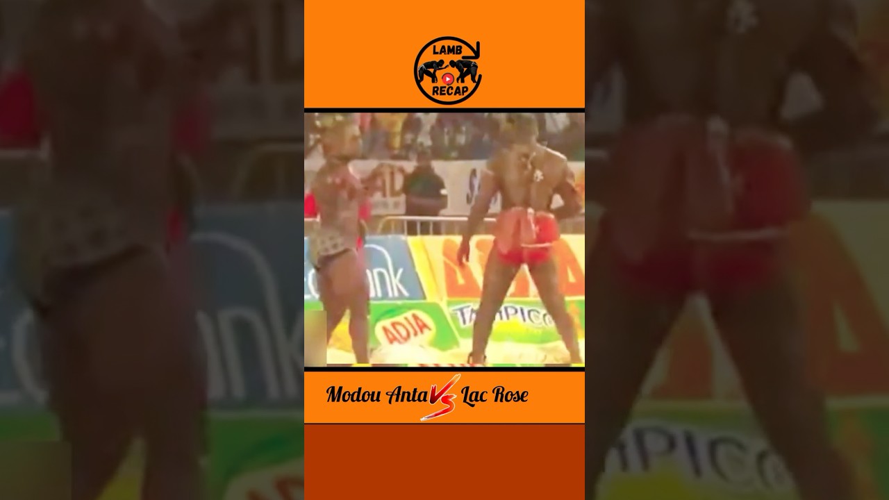 Modou Anta Vs Lac Rose Combat Choc 🔥 #luttes&eacute;n&eacute;galaise #lamb #modouanta #lacrose #senegal