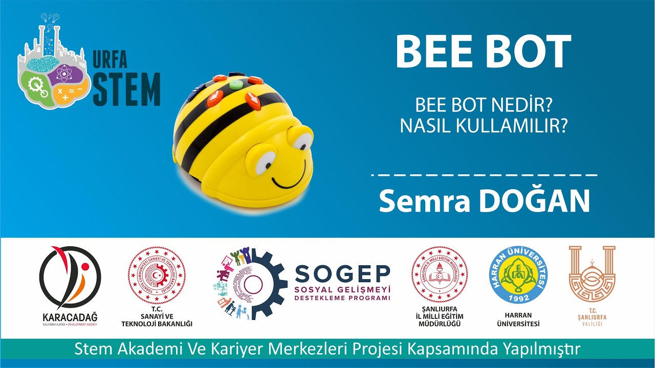 BEE BOT NEDİR? NASIL KULLANILIR?