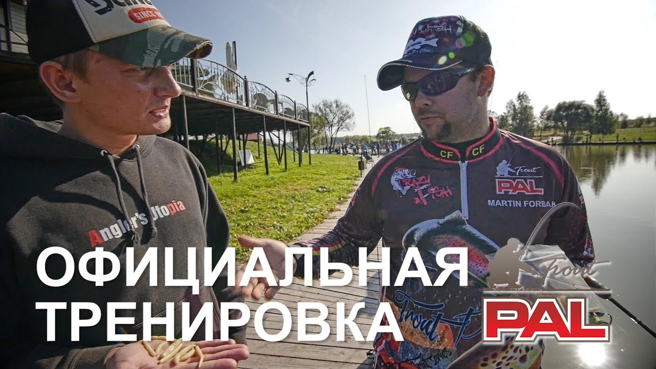 LIVE REPORTS. Официальная тренировка. PAL Trout осень 2017