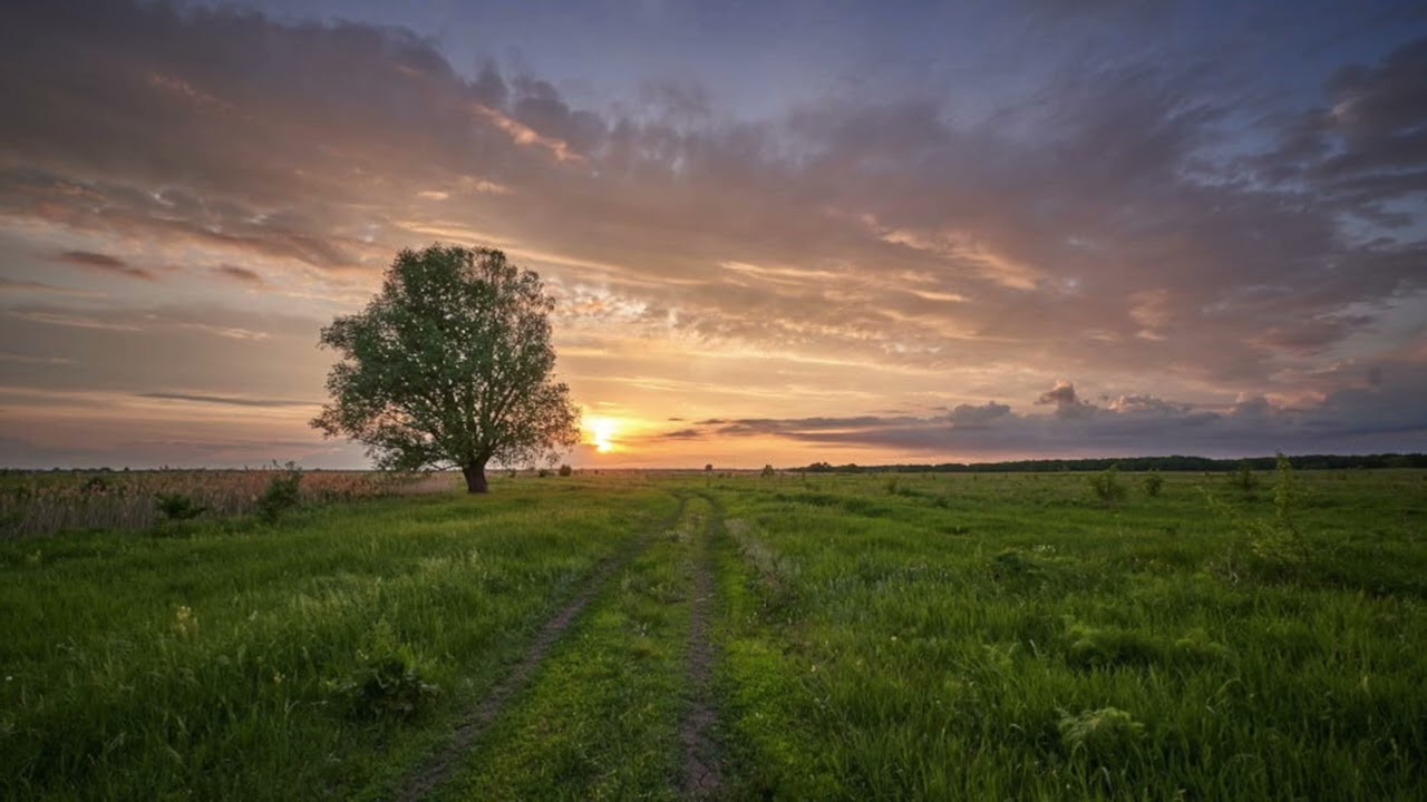 Beautiful Flatlands, Part 3: Allegro (Symphony No. 1 in D-Flat Major) | Purple Stargazer