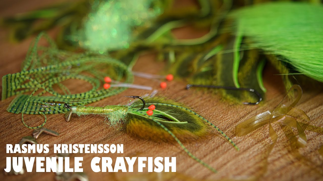 Juvenile Crayfish by Rasmus Kristensson