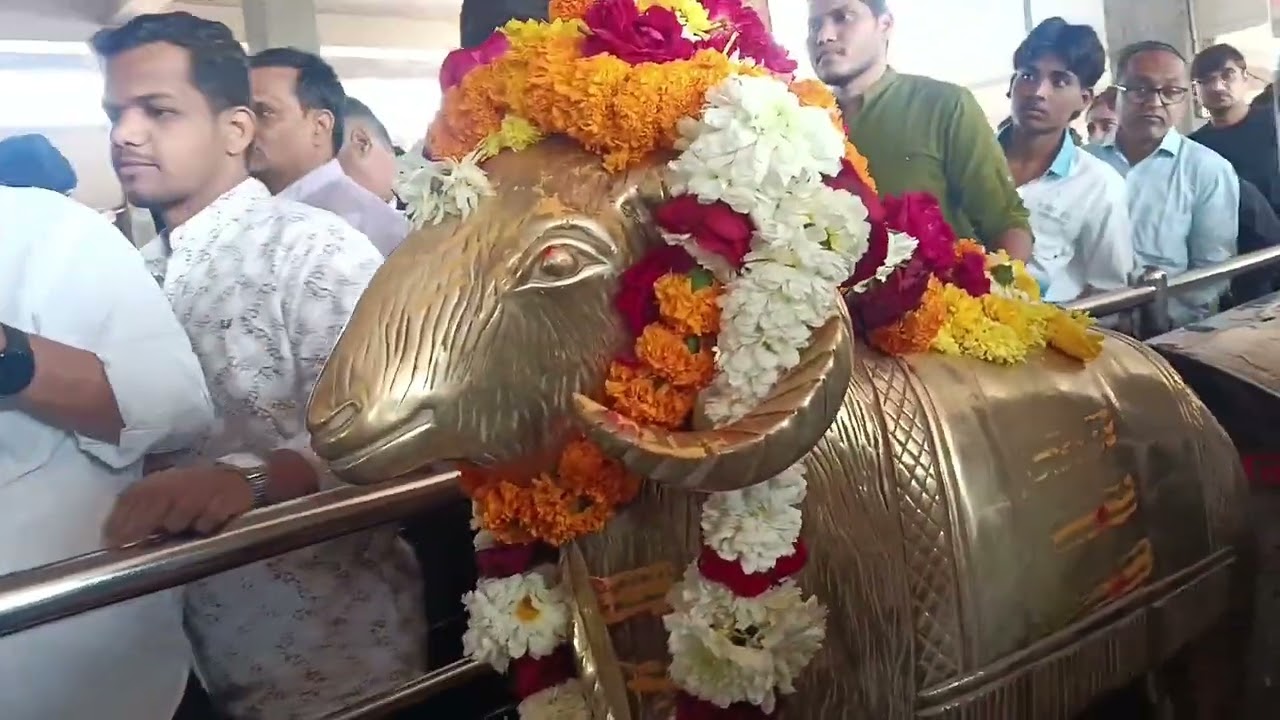 #viral #vlogger #travelvlog #ujjain 🛕 ujjein darsan🙏🏻