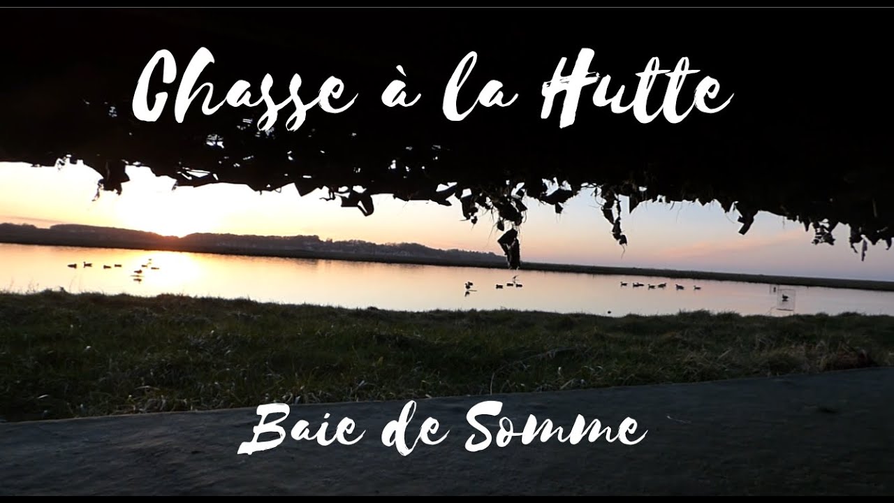 CHASSE a la Hutte en Baie de Somme