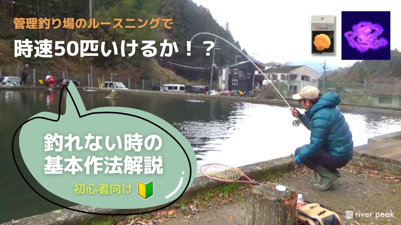 管理釣り場のルースニングで時速50匹いけるか！？ 釣れない時の攻略解説あり
