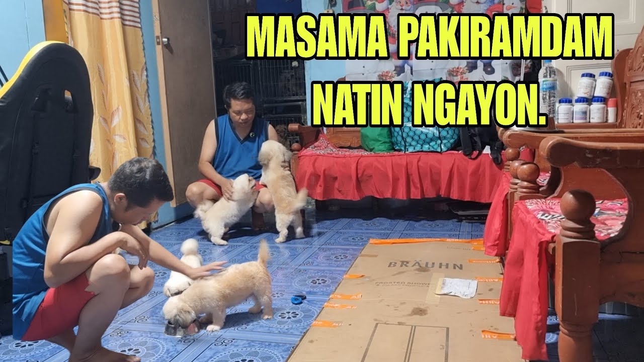 MASAMA PAKIRAMDAM NATIN NGAYON.BAWAL MAGKASAKIT