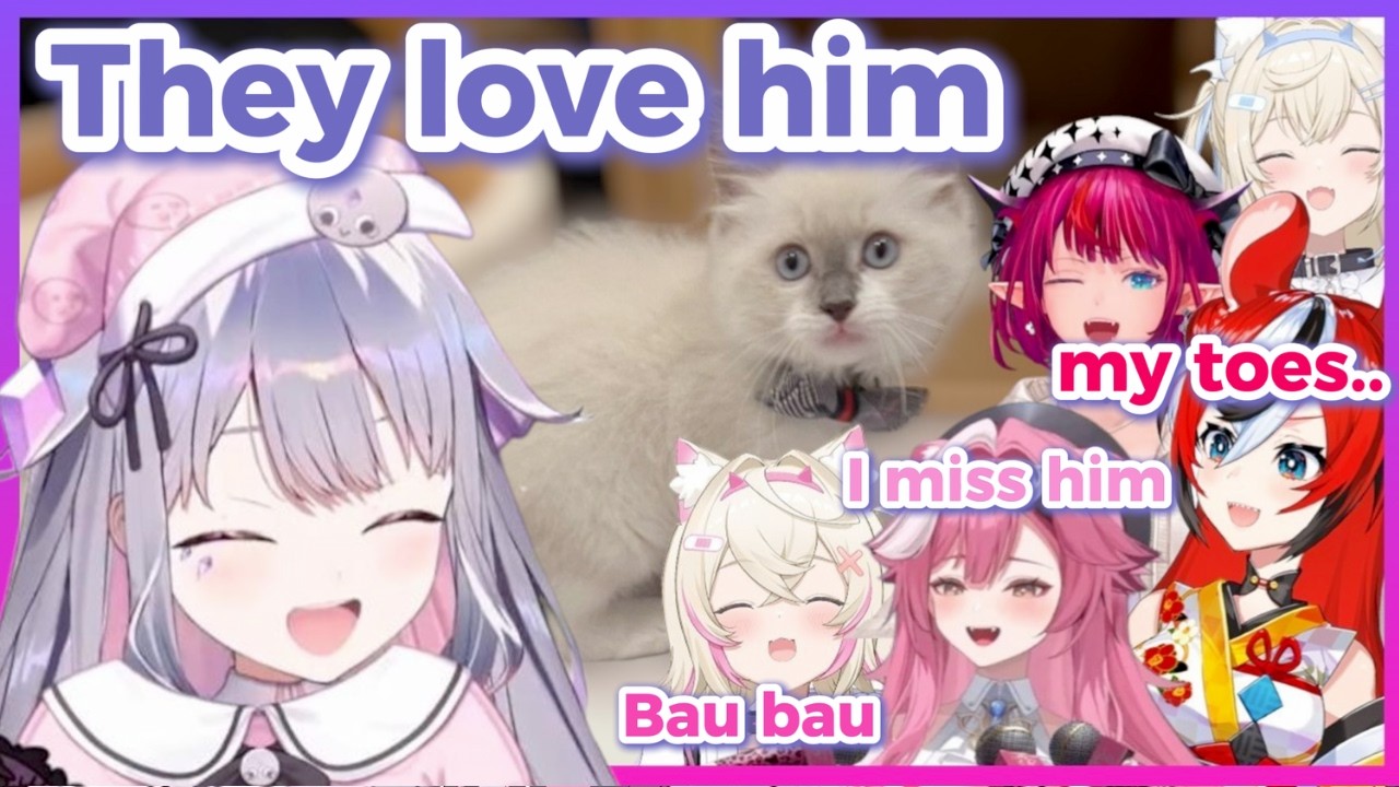 All of EN Reacts to Biboo's New Cat