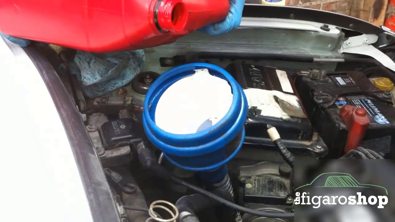 How To Check Gear Box Oil on A Figaro