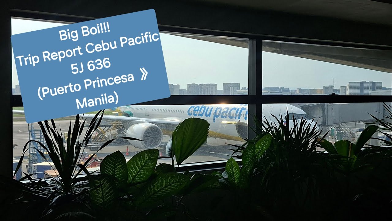 (Da Big Boi Flying!!) Trip Report Cebu Pacific 5J 636 (Puerto Princesa 》 Manila)