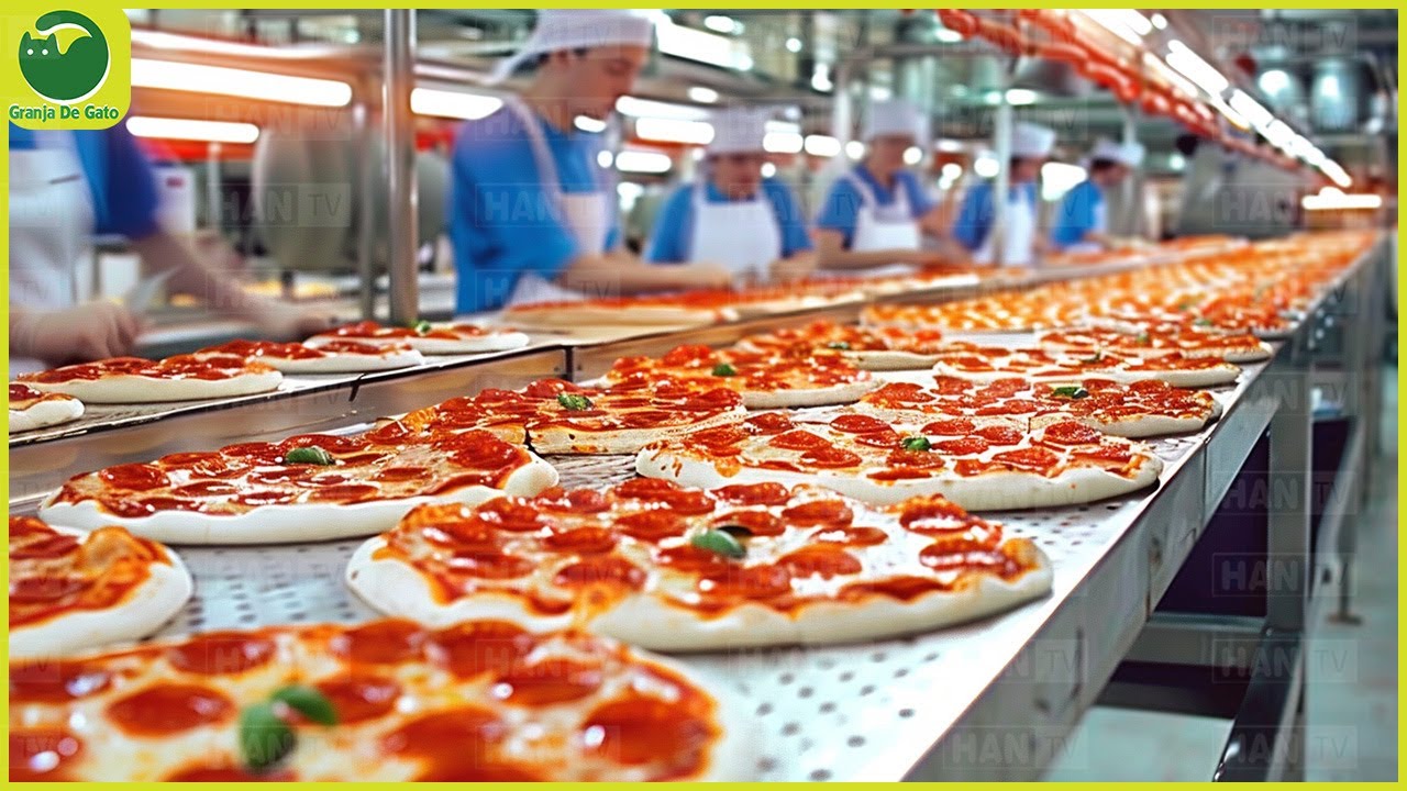 C&Oacute;MO se HACE la PIZZA? L&iacute;nea de producci&oacute;n autom&aacute;tica de pizza congelada en f&aacute;brica