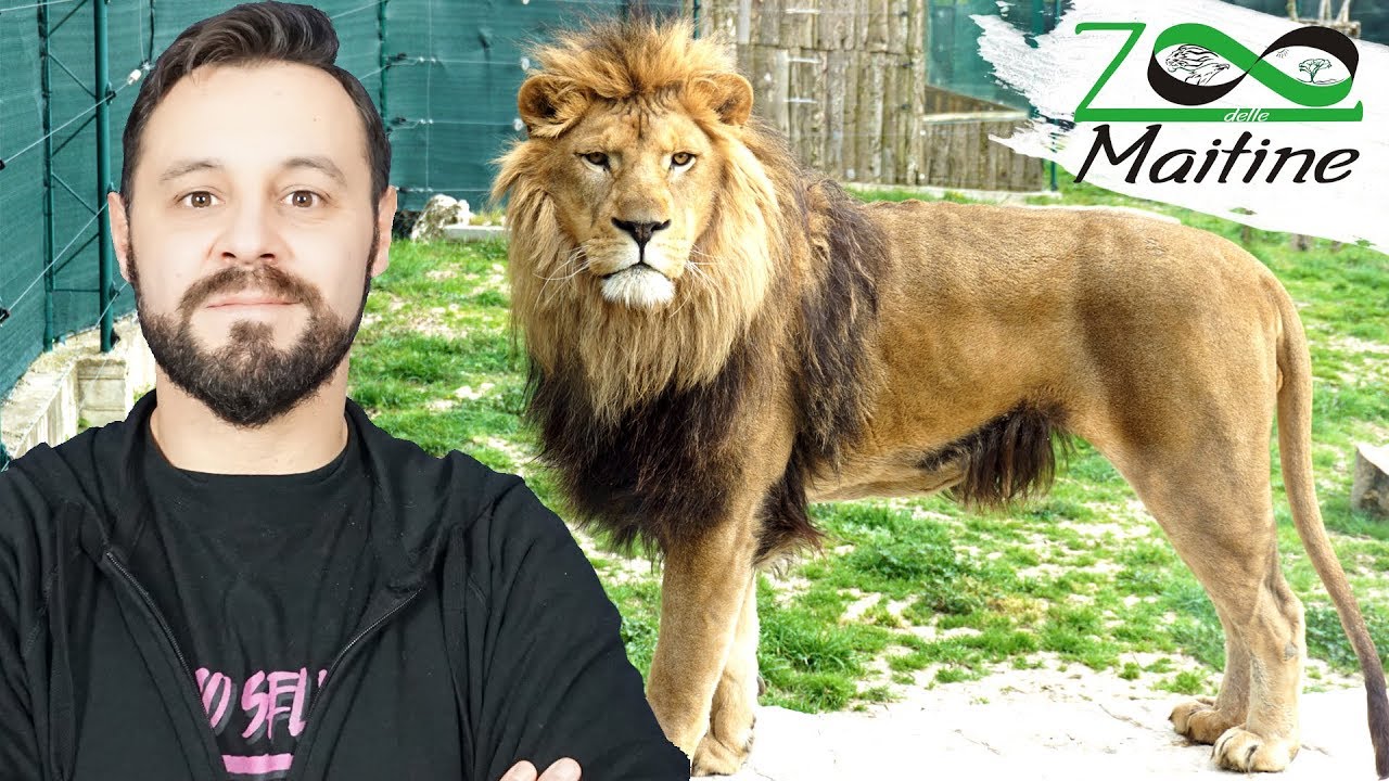 ZOO DELLE MAITINE un'esperienza SELVAGGIA