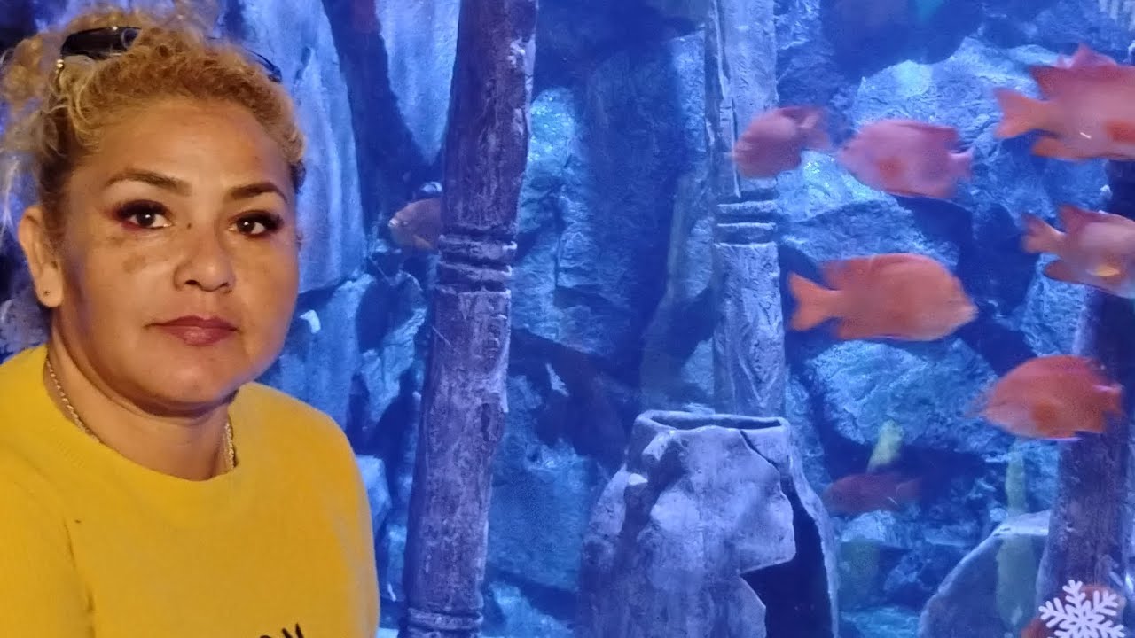 Acuario Michin 