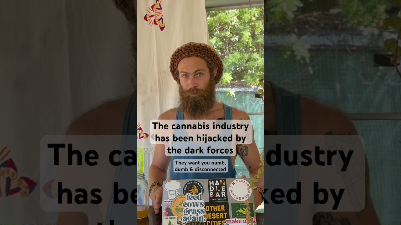 Modern weed is poison
