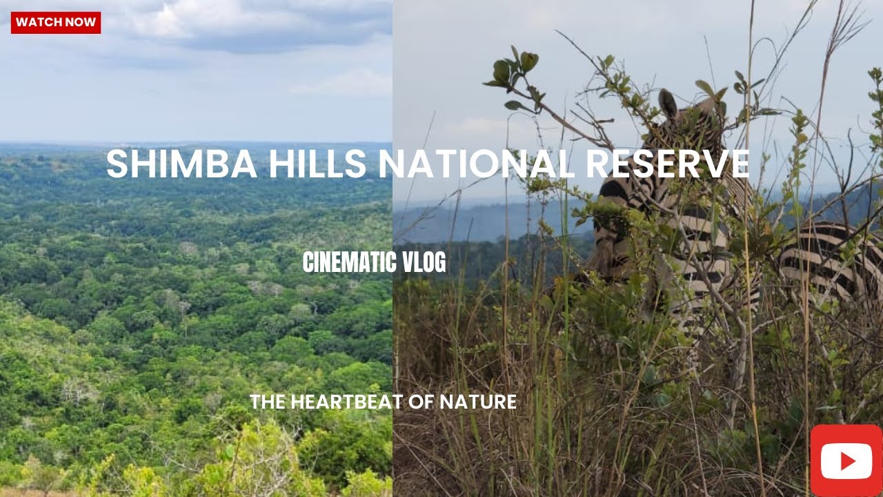 Shimba Hills National Reserve| Bandas| Viewpoints| Trails| Sheldrick Water Fall| Pure Adventure!