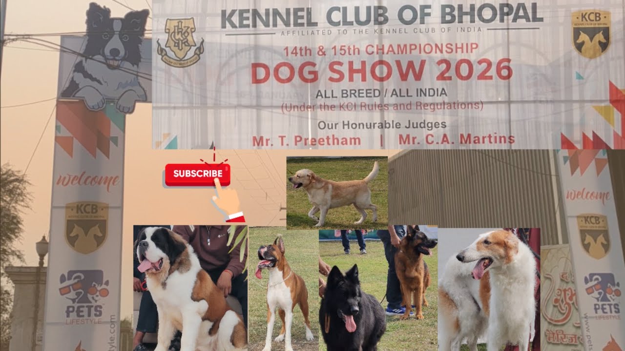 Best dog show of bhopal 2026 KCB🎖️🏆