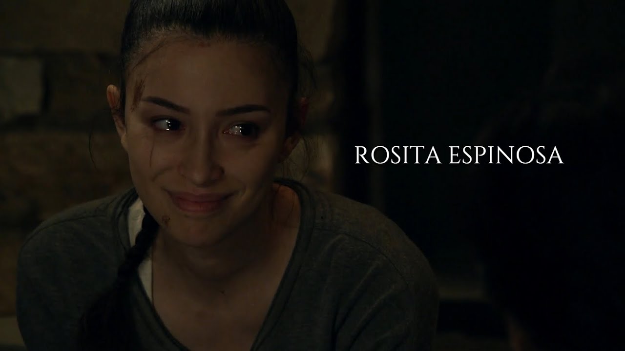 Rosita Espinosa || Rest In Peace [TWD]