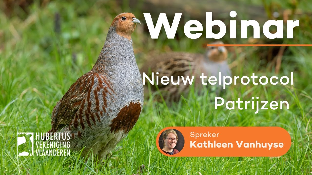 Nieuw telprotocol patrijs deel 1: context