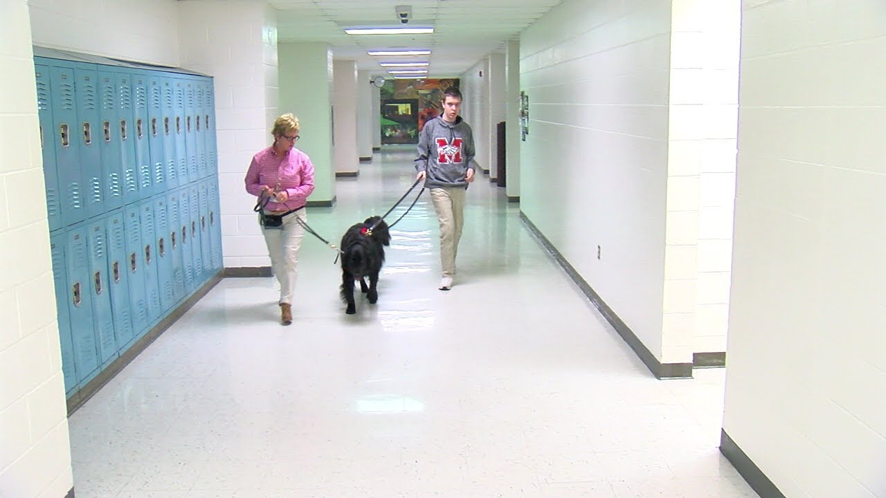 Milford High School class gets Autism Assistance Facility Dog